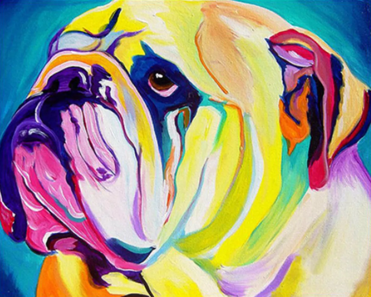 Schilderen op nummer Bulldog Geel
