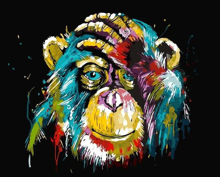 Schilderen op nummer Aap zwart colorful