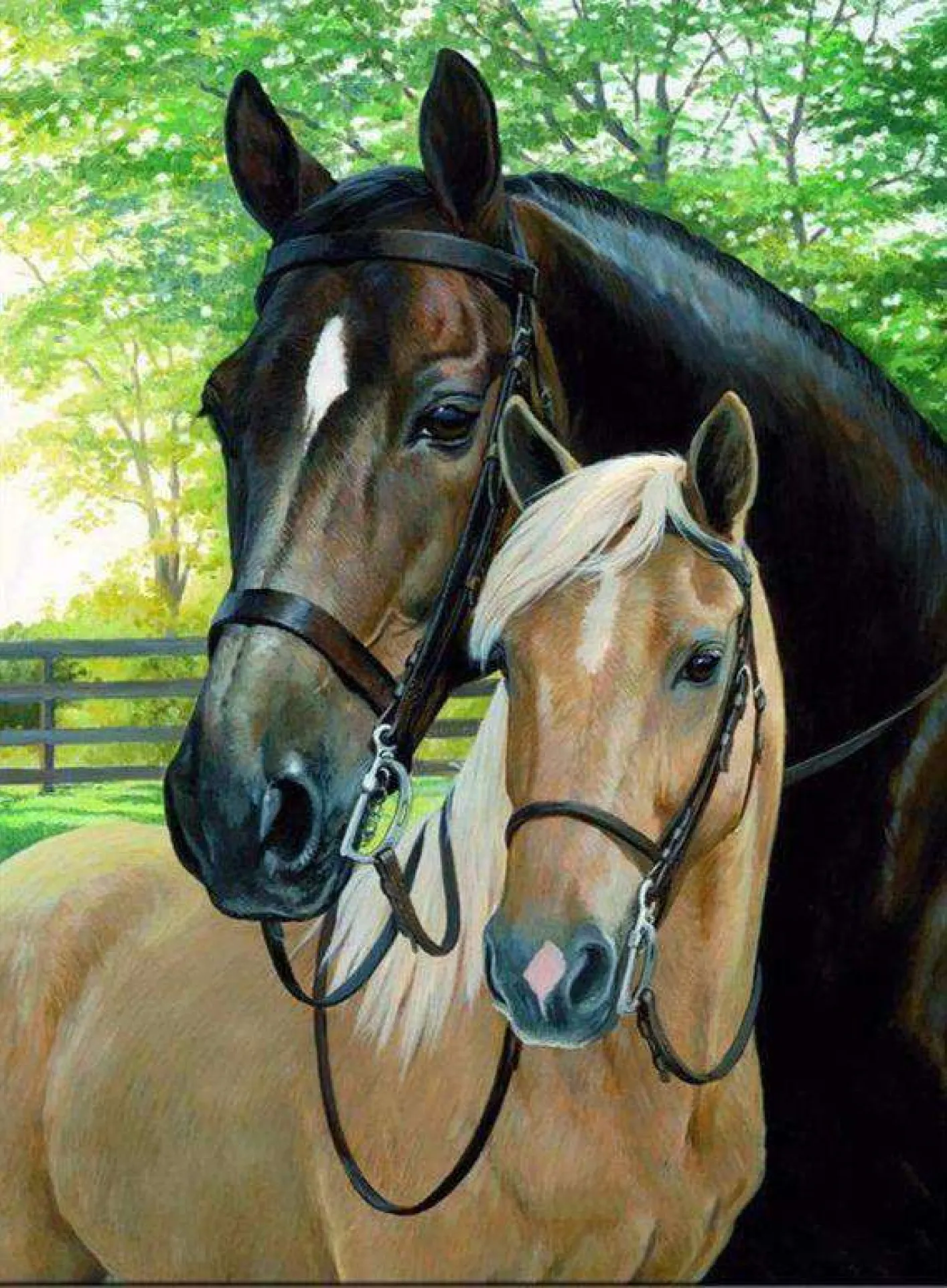 Knuffelende paarden
