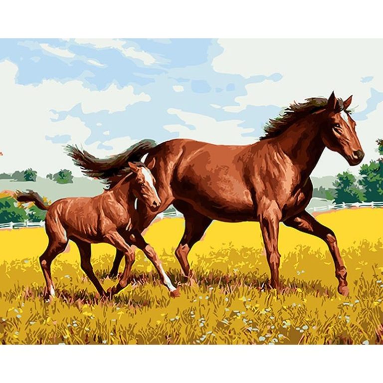 Schilderen op nummer Paard en Veulen